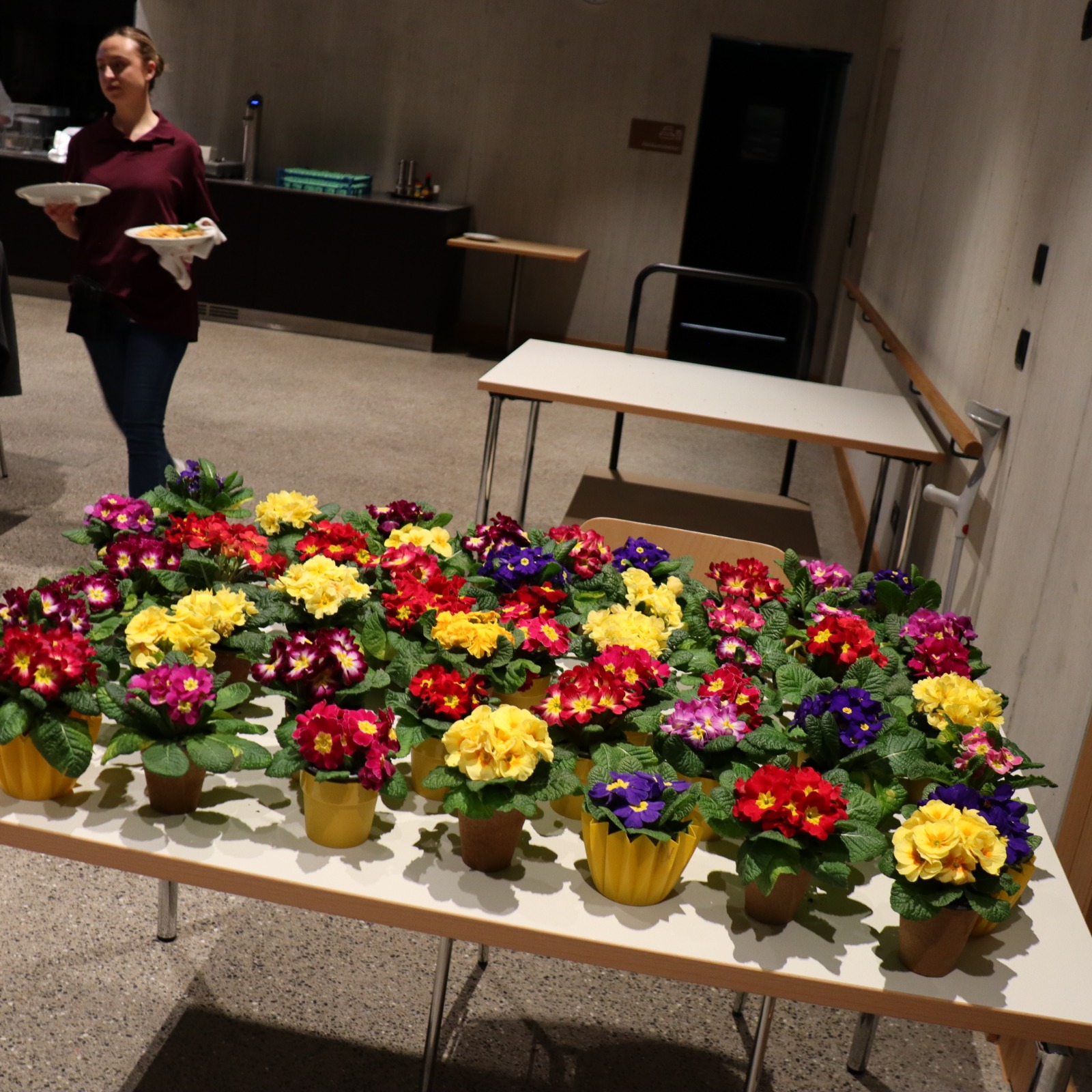 WhatsApp Image 2026-02-14 at 09.45.01.jpeg